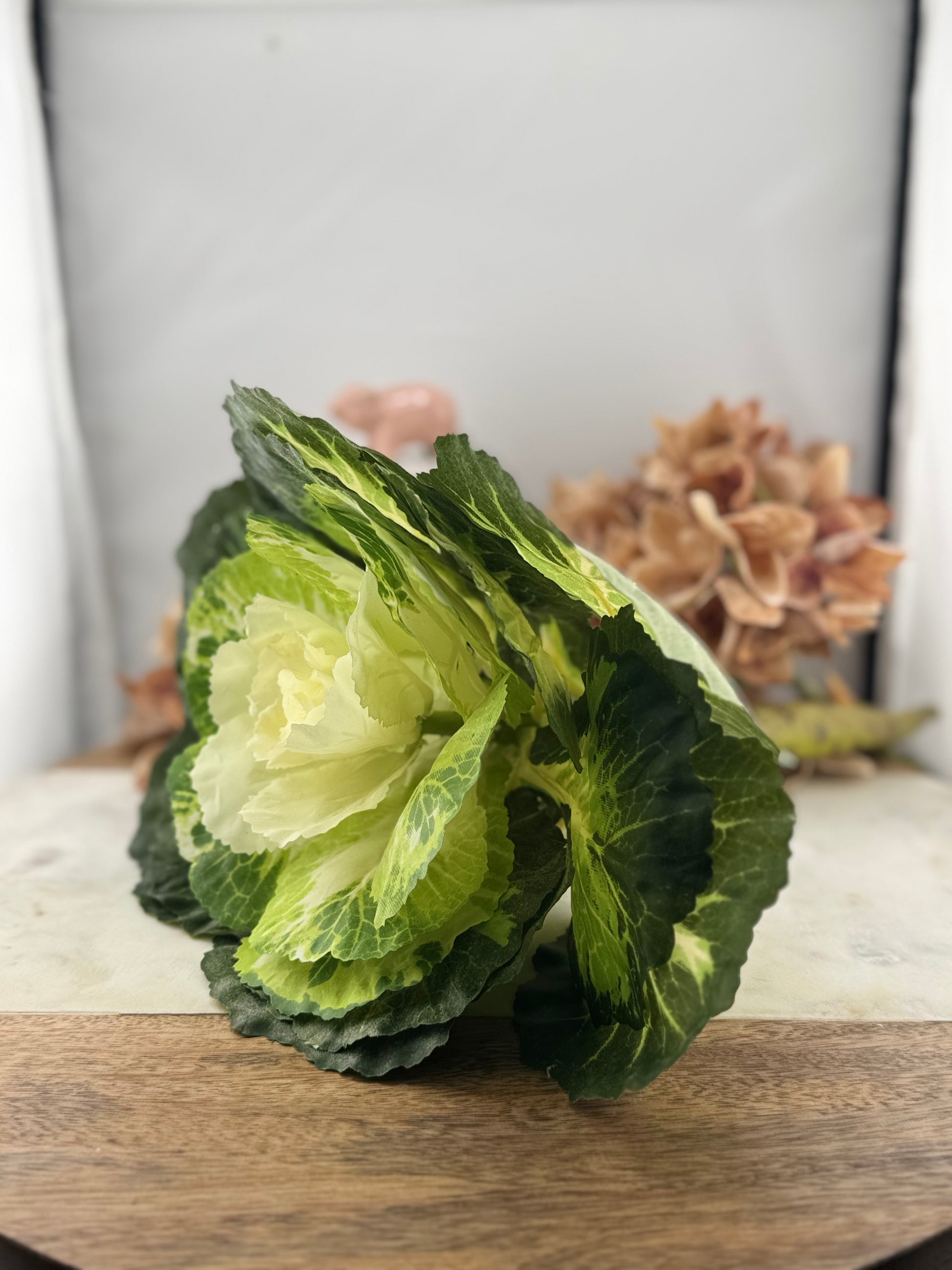 KK 13 Inch Ornamental Cabbage- White