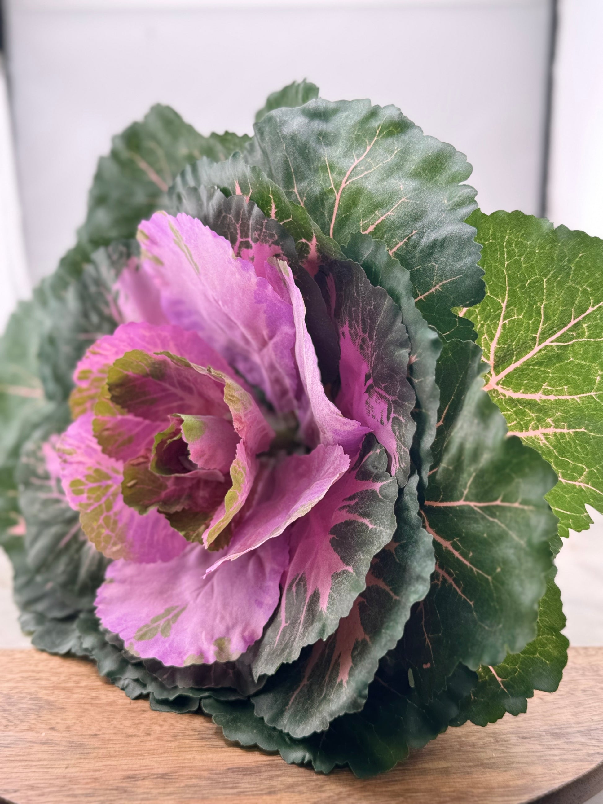 KK 15 Inch Ornamental Cabbage- Purple