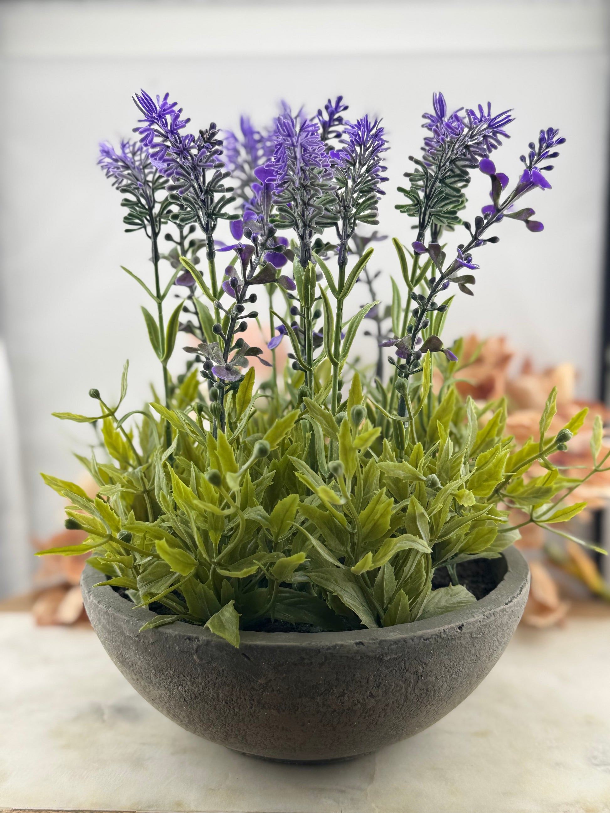KK Purple Lavender in Gray Bowl