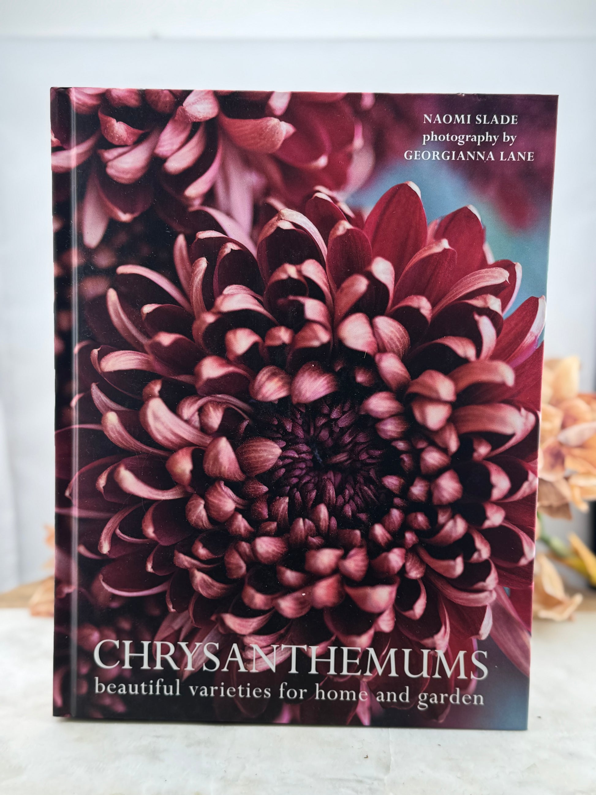 GS Chrysanthemums