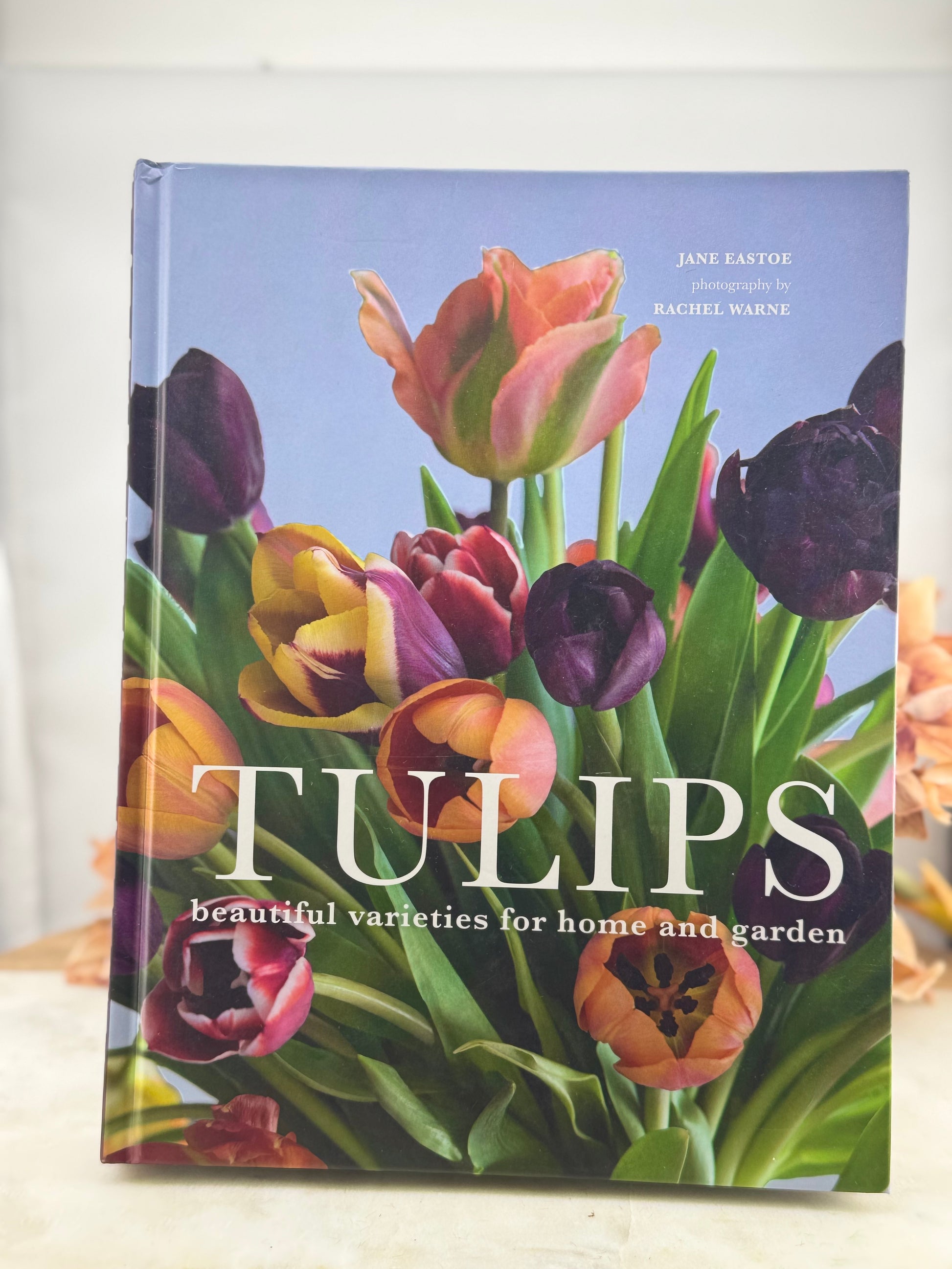 GS Tulips