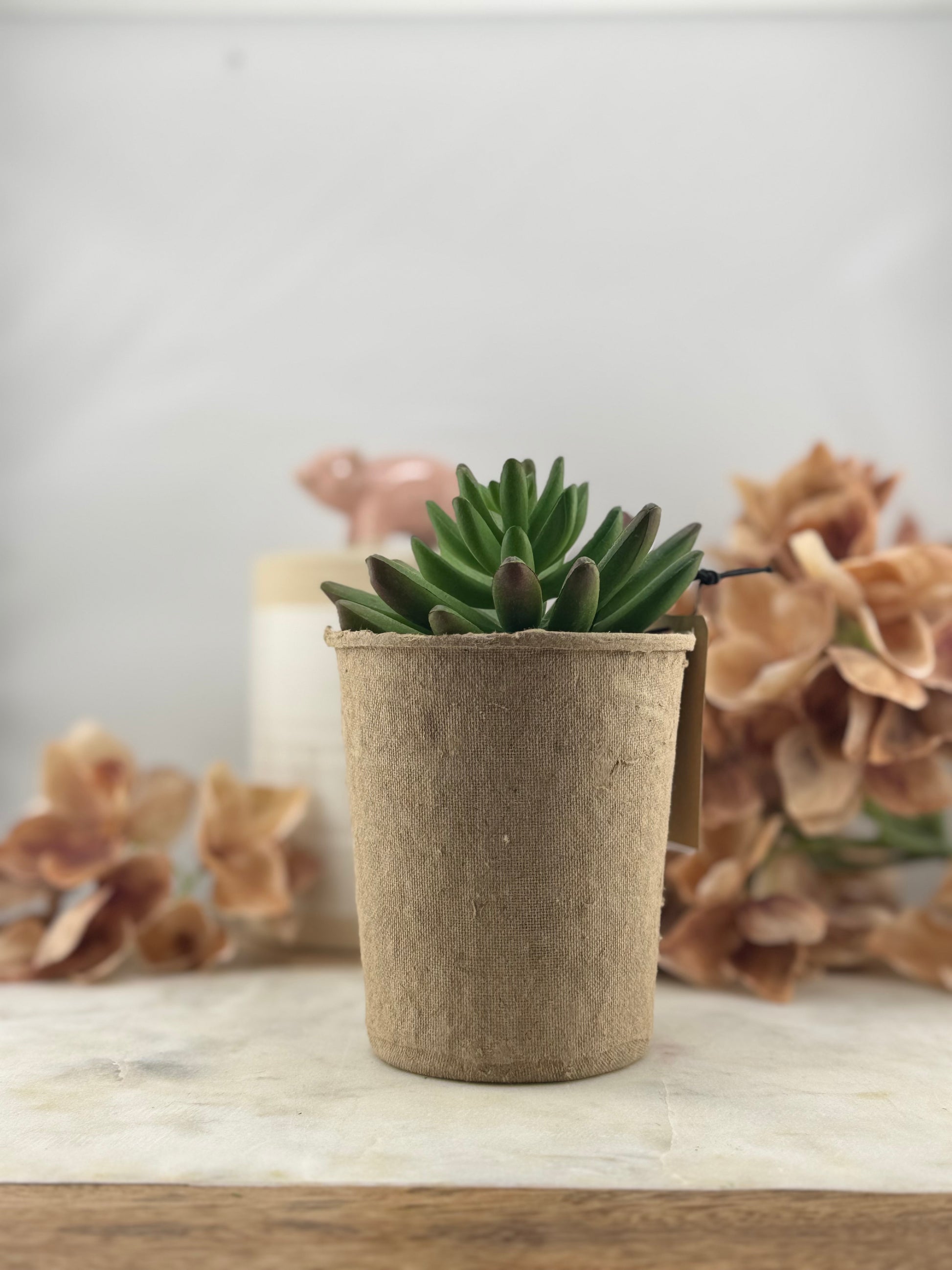 Faux Succulent in Paper Pot