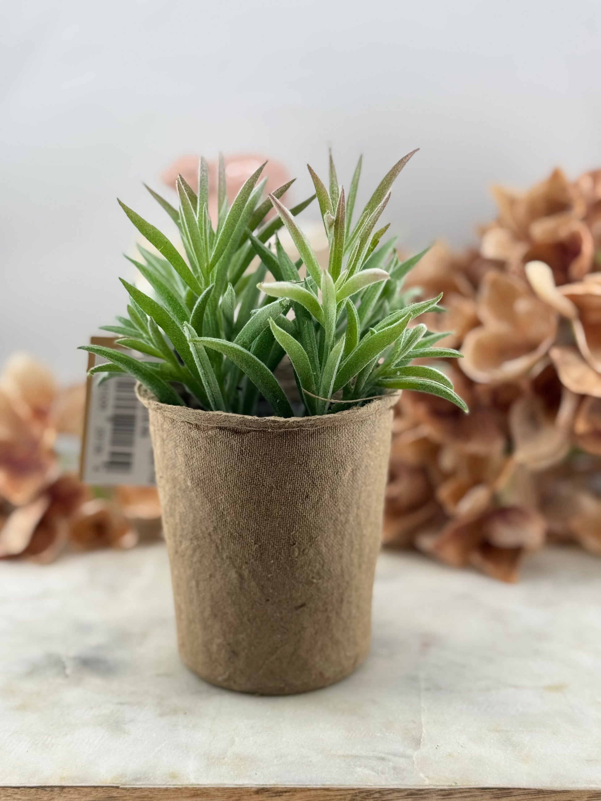Faux Succulent in Paper Pot