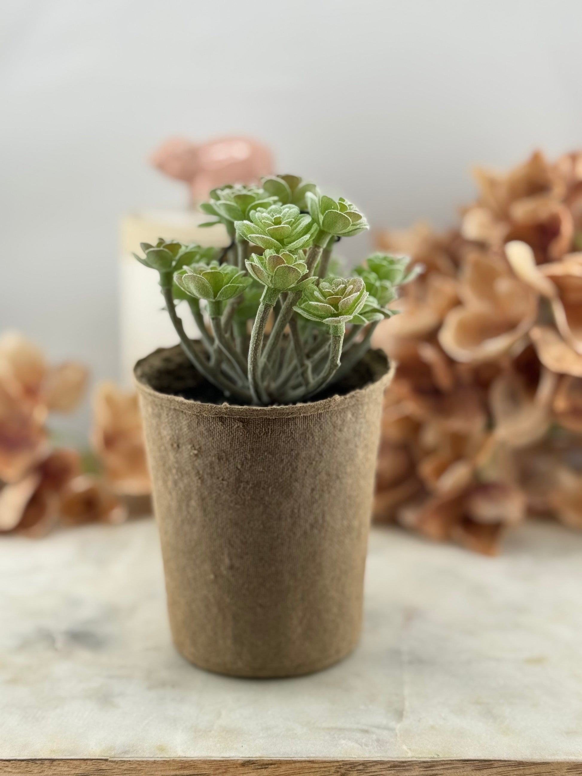 Faux Succulent in Paper Pot