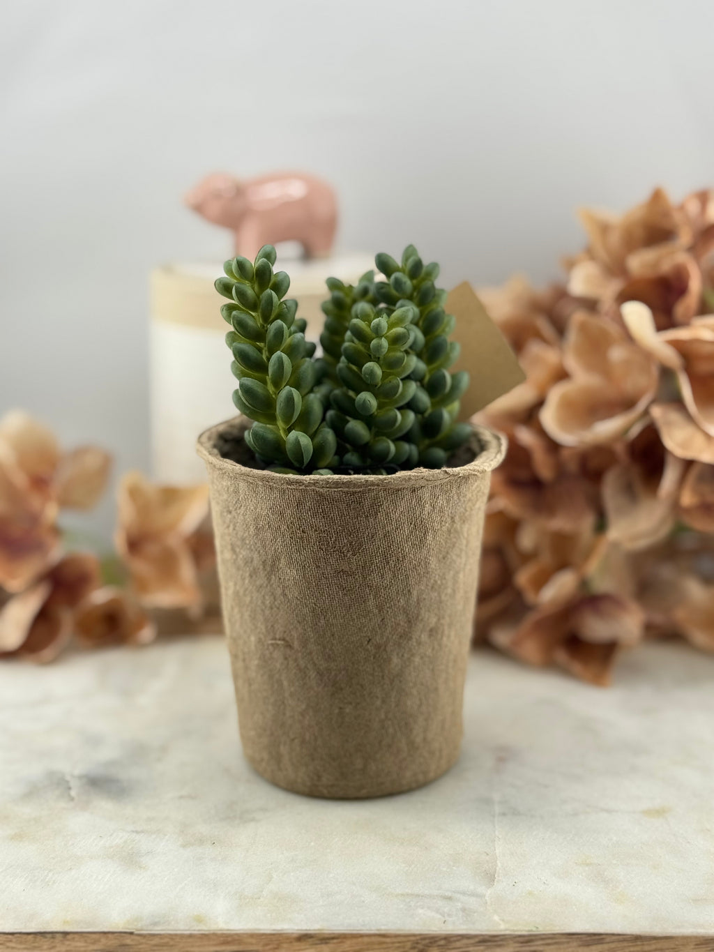 Faux Succulent in Paper Pot