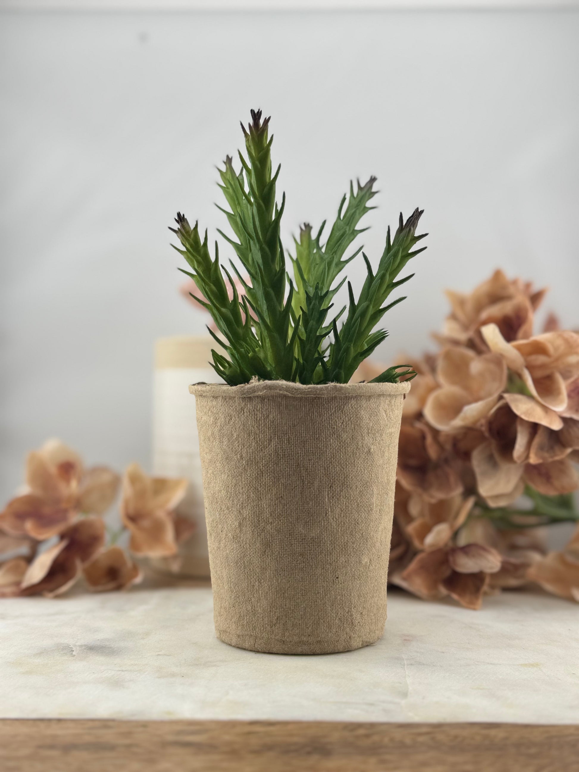 Faux Herb in Paper Pot #