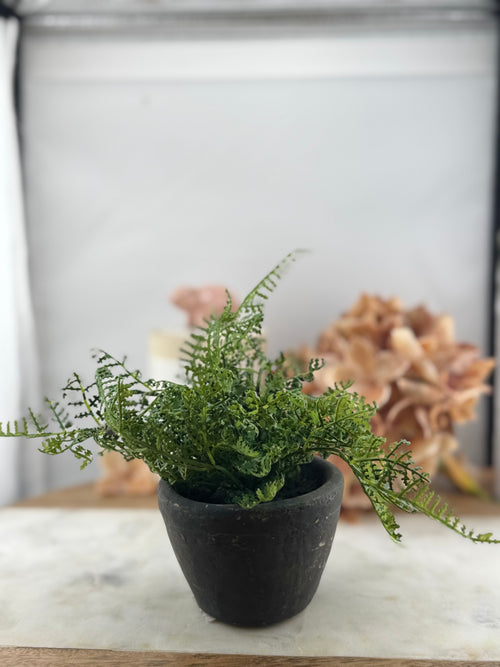 11" Potted Green Fern