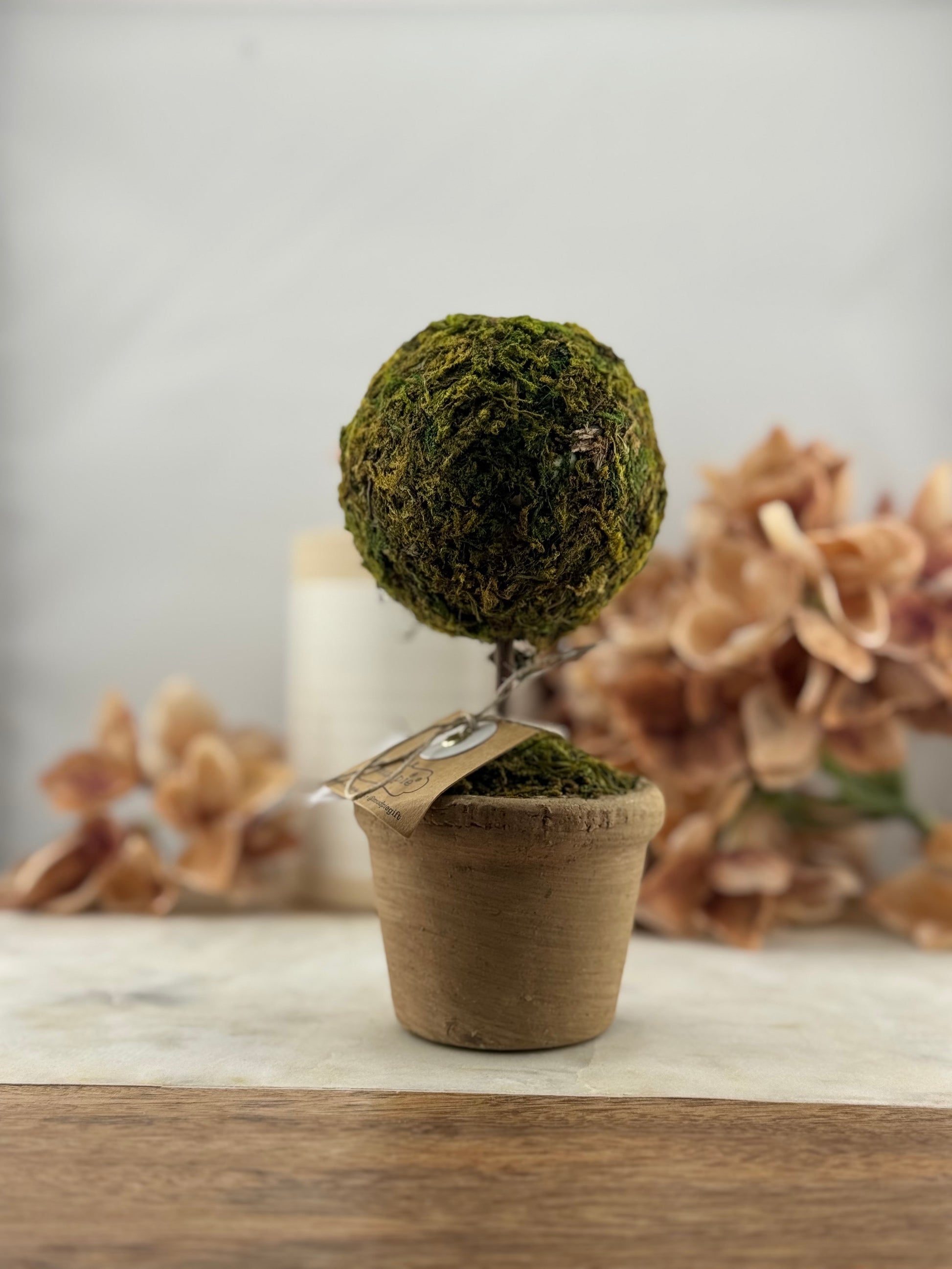 MP Single Moss Covered Topiary