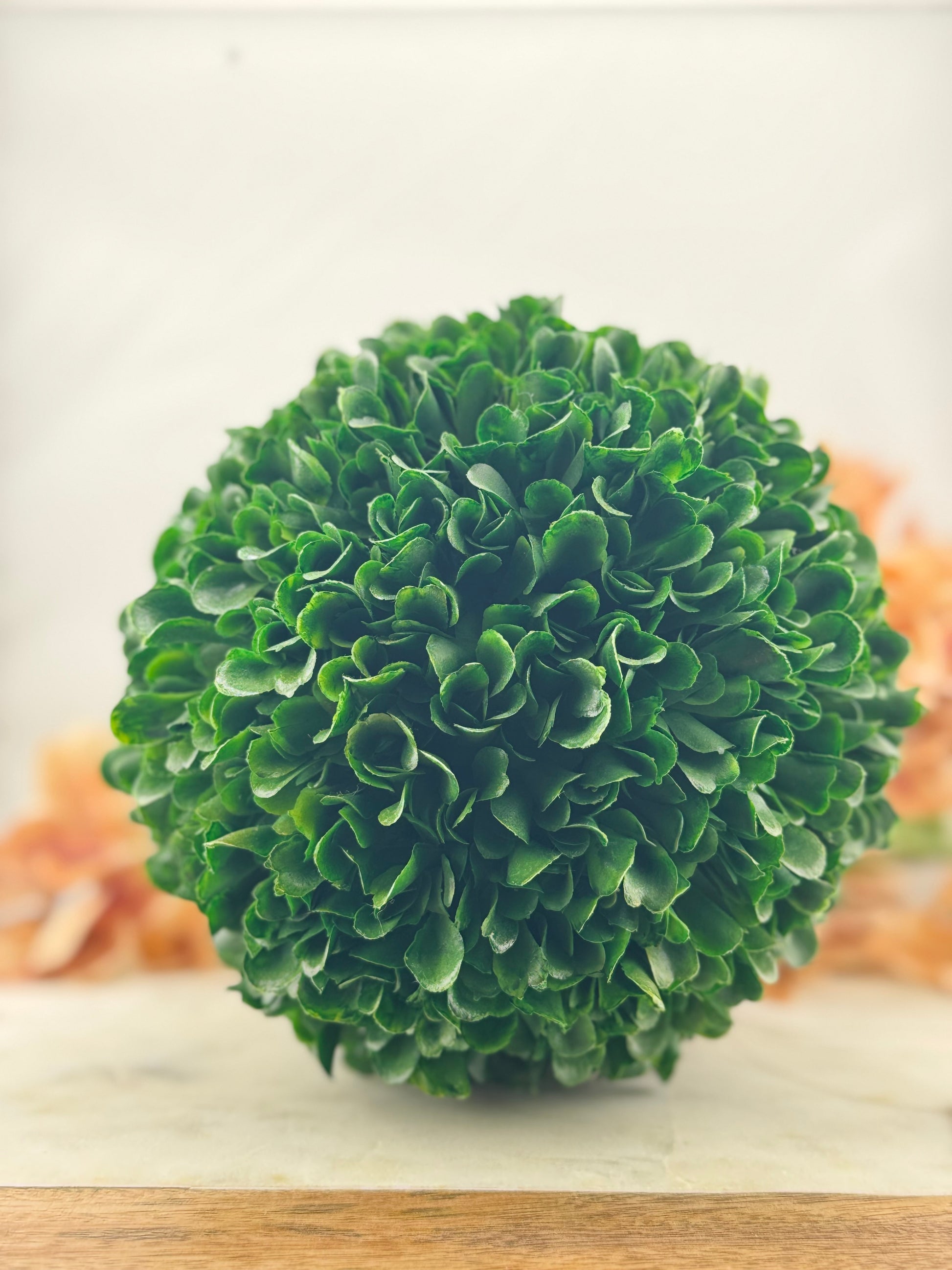 Boxwood Ball 14"